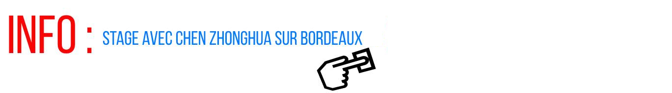 Chen Zhonghua stage Bordeaux